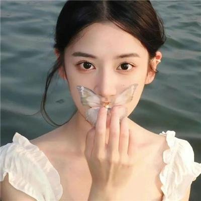 边关折柳特别篇